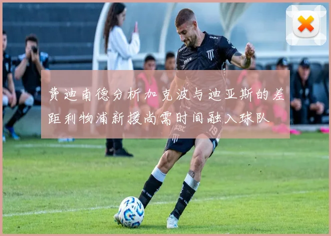 费迪南德分析加克波与迪亚斯的差距利物浦新援尚需时间融入球队